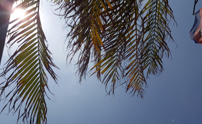 Adventures Abroad: Sihanoukville pt.&nbsp;2