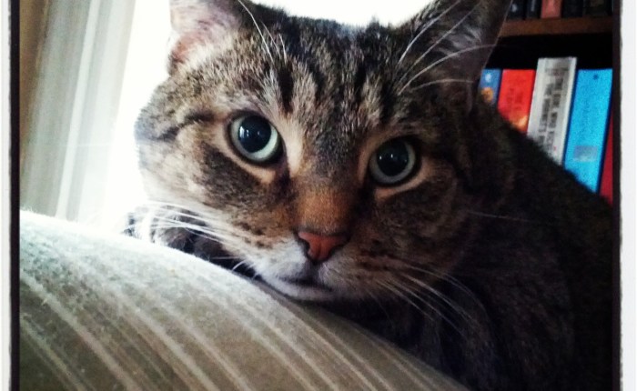 Sometimes, the ‘Right Thing’ Hurts