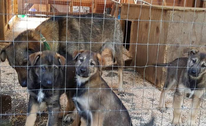 Alaska Adventures: It’s&nbsp;Cold